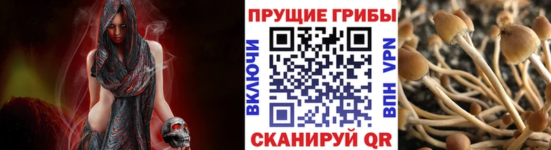 купить наркотик  Партизанск  Псилоцибиновые грибы ЛСД 