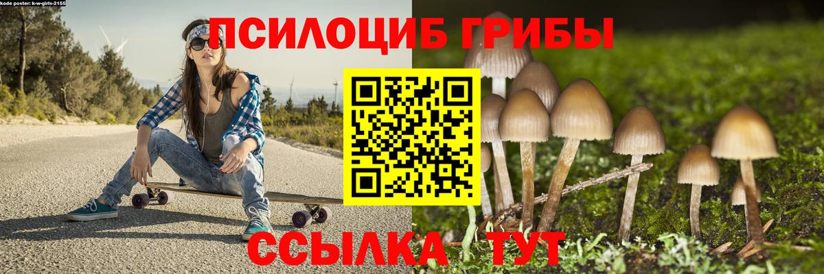 где можно купить наркотик  Псилоцибиновые грибы Cubensis  Вход с VPN  Партизанск  Псилоцибиновые грибы Psilocybine cubensis 
